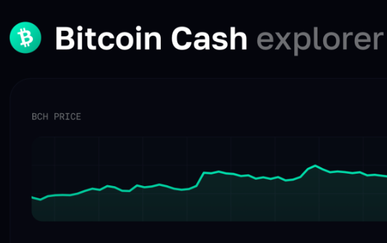 什么？比特币居然还有个小弟