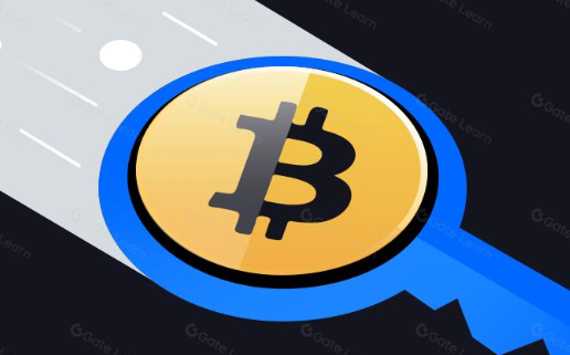 携带比特币钥匙旅行的 7 个提示